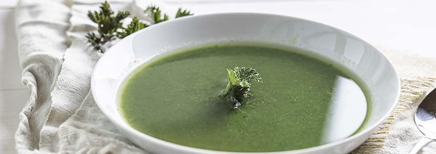 Zielona zupa-krem